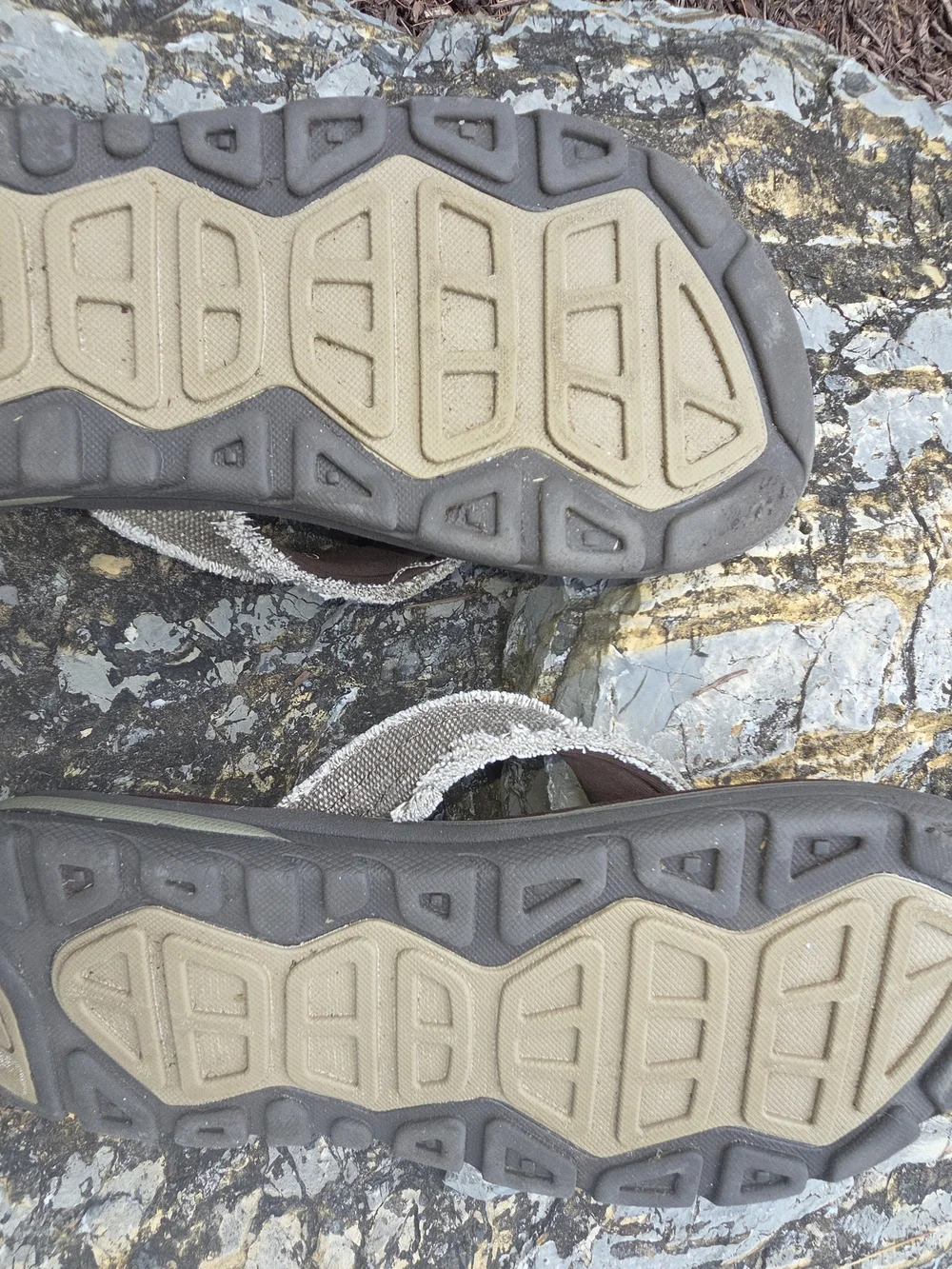 Skechers Kids Brown Flip-Flop Sandals with Cream Straps